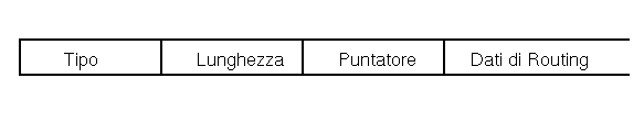 Opzioni Source Routing