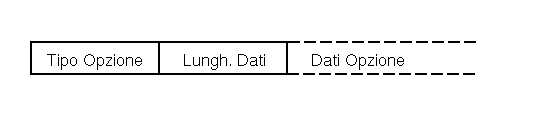 Formato di una Opzione