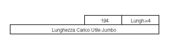 Jumbo Payload Option