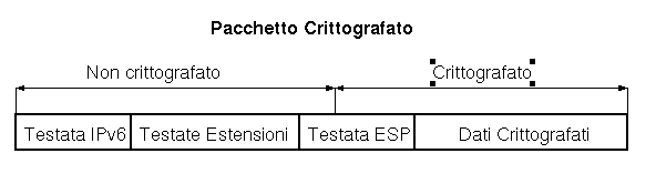 Encrypted Security Payload